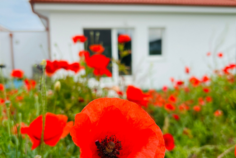 Stavebný denník - zoznam / Kontrolný deň v teréne - foto Stavebný denník - zoznam / Kontrolný deň v teréne - foto