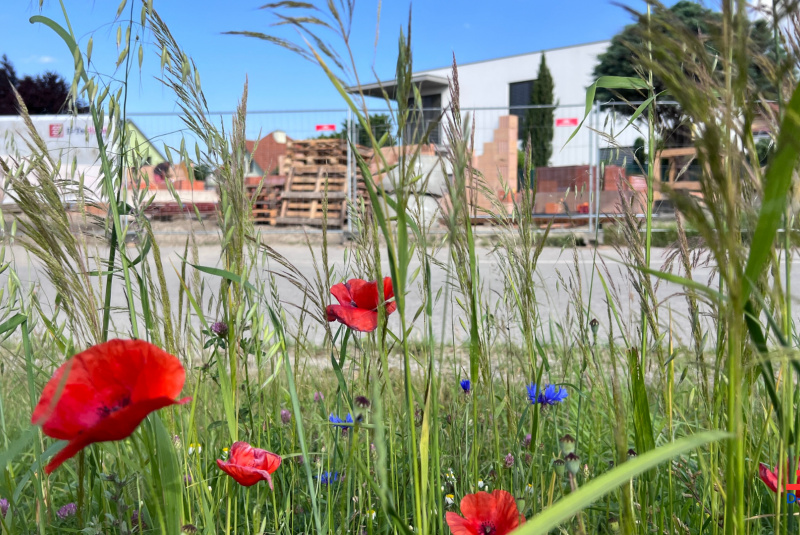 Stavebný denník - zoznam / Manažérske oddelenie: Kontrolný deň realizácie projektu stavby domu CUR23 Kittsee, Rakúsko - foto Stavebný denník - zoznam / Manažérske oddelenie: Kontrolný deň realizácie projektu stavby domu CUR23 Kittsee, Rakúsko - foto